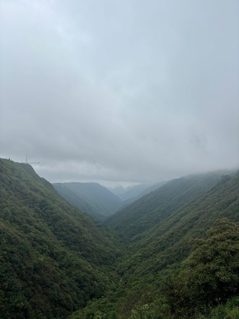 WhatsApp Image 2026-07-09 at 10.11.19 (2)
